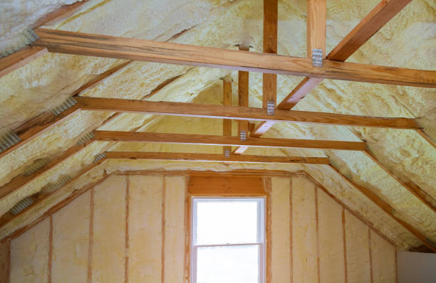 Best Home Insulation Services  in Weeping Water, NE